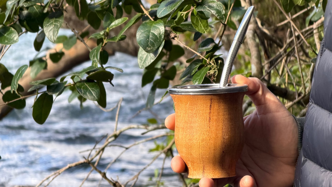 Cómo Curar un Mate de Madera Correctamente | Guía Completa – La Casa del Mate